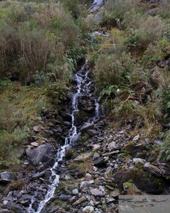 IMG_2243