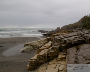 IMG_2312